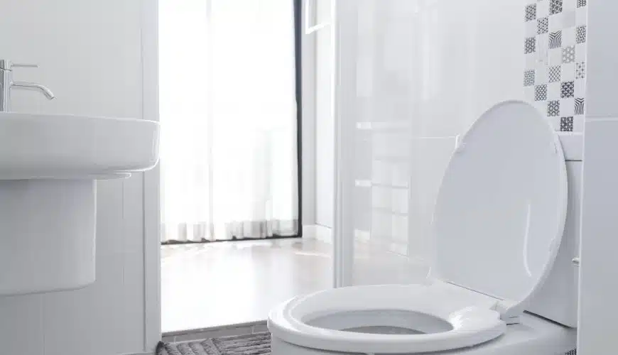Toilet seat sanitiser